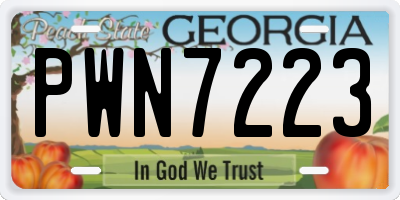 GA license plate PWN7223