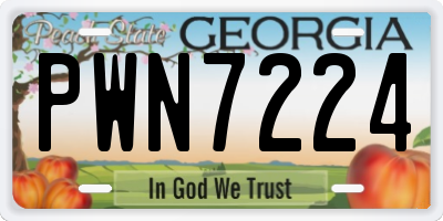 GA license plate PWN7224