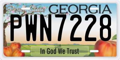 GA license plate PWN7228