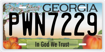 GA license plate PWN7229