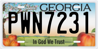 GA license plate PWN7231