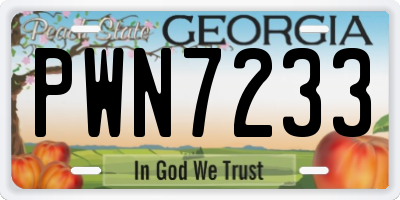 GA license plate PWN7233