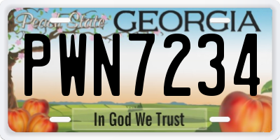 GA license plate PWN7234