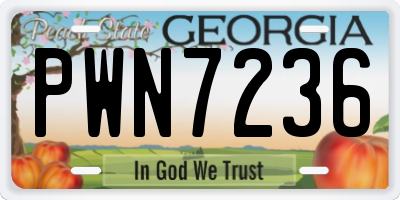 GA license plate PWN7236