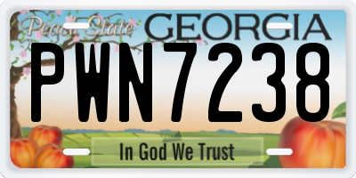 GA license plate PWN7238