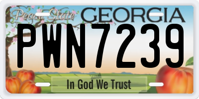 GA license plate PWN7239