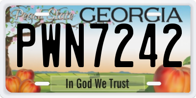 GA license plate PWN7242