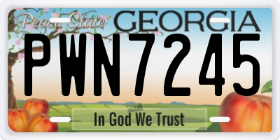 GA license plate PWN7245