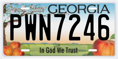 GA license plate PWN7246