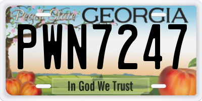 GA license plate PWN7247
