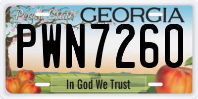 GA license plate PWN7260