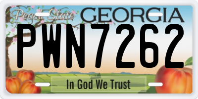 GA license plate PWN7262
