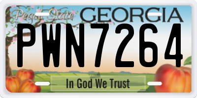 GA license plate PWN7264