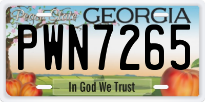 GA license plate PWN7265