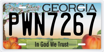 GA license plate PWN7267