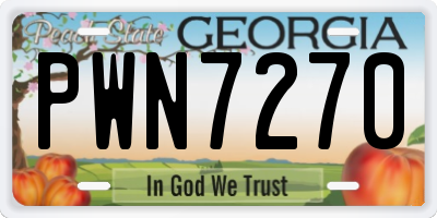 GA license plate PWN7270