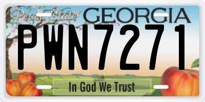 GA license plate PWN7271