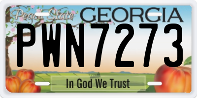 GA license plate PWN7273