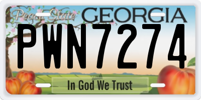 GA license plate PWN7274