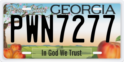 GA license plate PWN7277