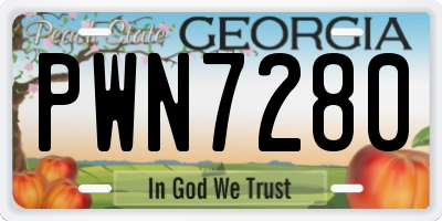 GA license plate PWN7280