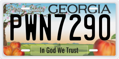 GA license plate PWN7290