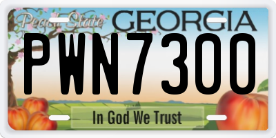 GA license plate PWN7300