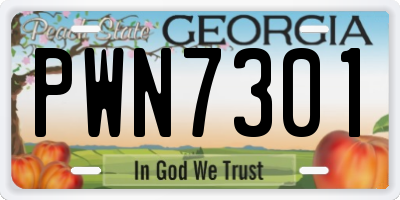 GA license plate PWN7301