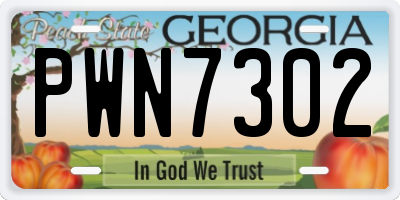 GA license plate PWN7302