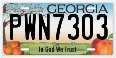 GA license plate PWN7303