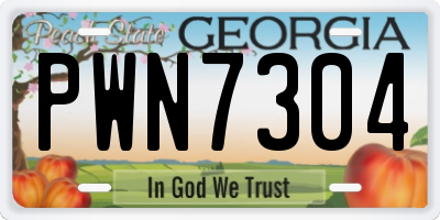 GA license plate PWN7304