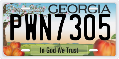 GA license plate PWN7305