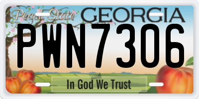 GA license plate PWN7306