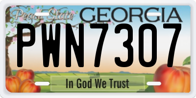 GA license plate PWN7307