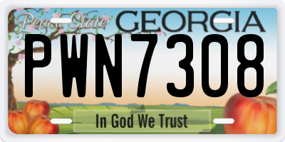 GA license plate PWN7308