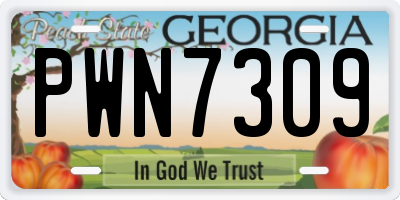 GA license plate PWN7309