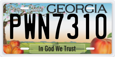 GA license plate PWN7310