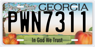 GA license plate PWN7311