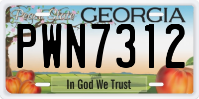 GA license plate PWN7312