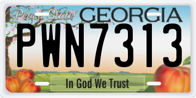GA license plate PWN7313