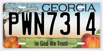 GA license plate PWN7314
