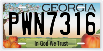 GA license plate PWN7316