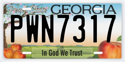 GA license plate PWN7317