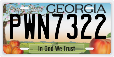 GA license plate PWN7322