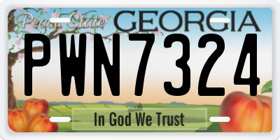 GA license plate PWN7324