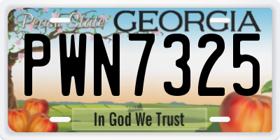 GA license plate PWN7325
