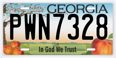 GA license plate PWN7328