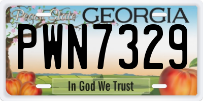 GA license plate PWN7329