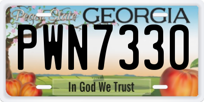 GA license plate PWN7330