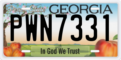 GA license plate PWN7331